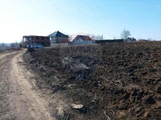 Teren Agricol de Vânzare - 162 Ari în or. Singera, Extravilan