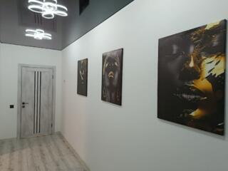 ..АРЕНДА В Г. КАУШАНЫ,,