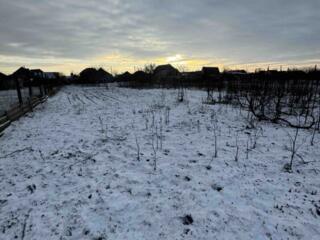 Продается земельный участок в с. Терновка