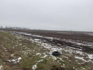 Продам участок правильной формы 15 соток  Белгороднестровский район, .