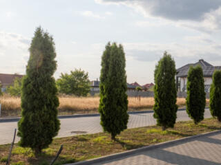 ПРОДАЖА! УЧАСТКА В СОВИНЬОНЕ 3, 21 МАССИВ!