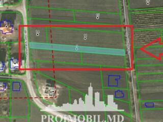 Spre vânzare se oferă teren cu o construcție nefinisată, situat în ...