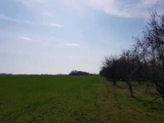 Предлагается к продаже участок 617 соток вс. Светлое. Два фасада с ...