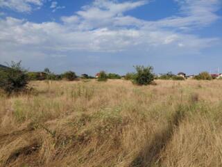 Предлагается к продаже участок в Красноселке 8 соток,  правильной ...