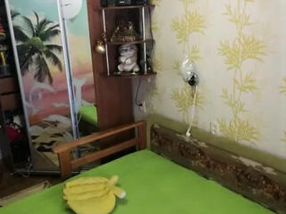 2-комнтная квартира в Лузановке