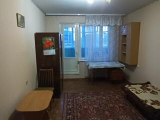 1-комнатная квартира, Ботаника