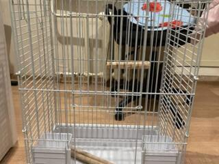 Продаю КЛЕТКУ и ИГРУШКИ для крупных попугаев (корелла)