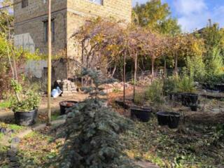 Продается участок с домом Червоный Хутор. Таирова.