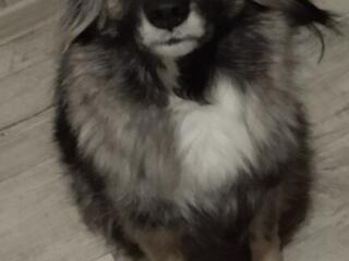 Ищем семью для мальчика