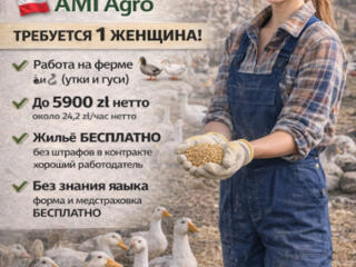 Ферма по выращиванию уток и гусей. Контракт от 3 месяцев.