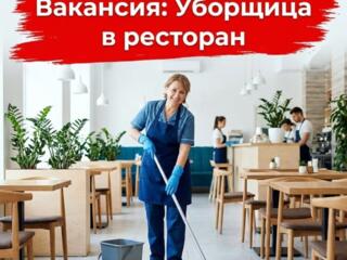 Уборщица в ресторан (Тирасполь)