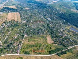 Teren Agricol de Vânzare în Trușeni – Poziționare Excelentă între Meri