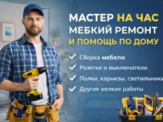 Выполняю мелкий ремонт и бытовые работы по дому. Быстро и аккуратно.