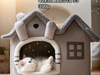 Новые товары для наших любимцев