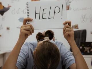 Репетитор 2-6 классов