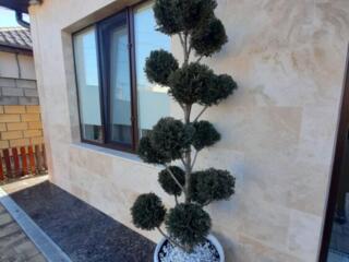 Дом в 15 минутах от Одессы, рядом Усатово, Слободка