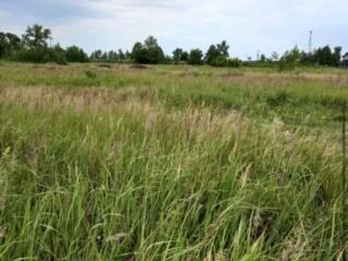 Терміново продам земельну ділянку 4 га поруч із ТРЦ Riviera, Фонтанка