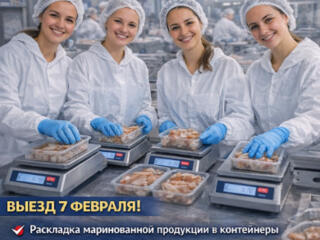 Производство продуктов из рыбы, салатов и паст для бутербродов.