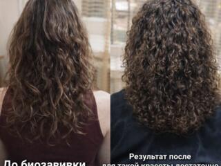 Биозавивка, креативные стрижки, колористика и ещё много других знаний