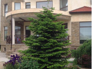 3-этажный дом 700 м² на Таирова