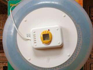 Инкубатор для яиц