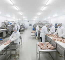 Польша. Завод по переработке куриного мяса ищет сотрудников