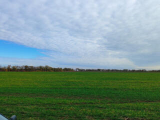 Продається  пай 4.78 га в межах села Августівка