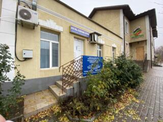 Здаю в оренду офіс на Пушкінському кільці.