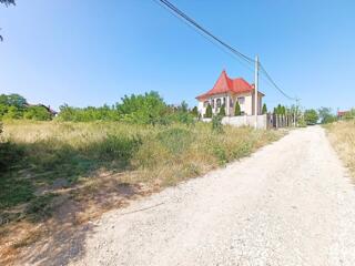 Teren Ideal pentru Construcție sau Investiție – 12 Ari în Trușeni, Zon