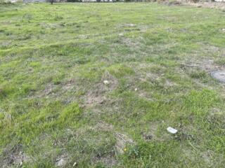 Предлагается к продаже участок 12 соток правильной формы в с. Дачное. 