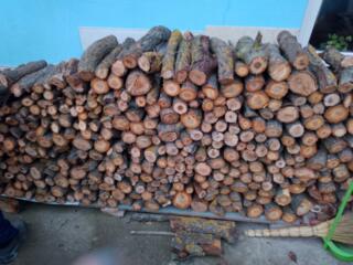 Продам дрова слива яблоня клён акация