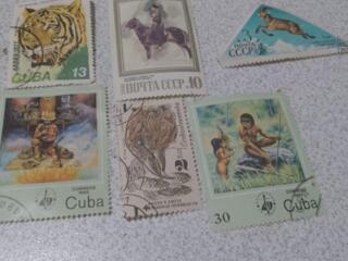 Марки, книги, утварь