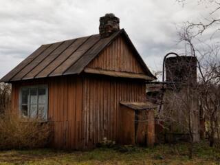 Куплю дом в Карагаше Срочной продажи либо участок