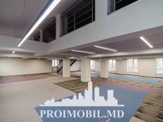 Spre chirie, spațiu pentru oficii, sect. Centru, str. Mitropolit ...