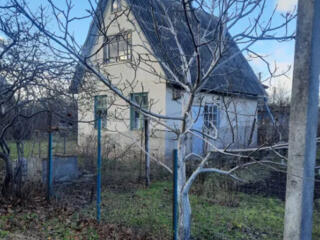 Продам дачу возле Хаджибеевского лимана в с.Бурдовка (Раздельнянский .