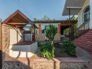 I.P Apicultorul, Trușeni, Chisinau