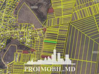 Spre vânzare se oferă teren cu destinație agricolă, situat în com. ...