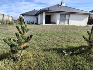 Одноэтажный дом 180м2 Зеленый Гай