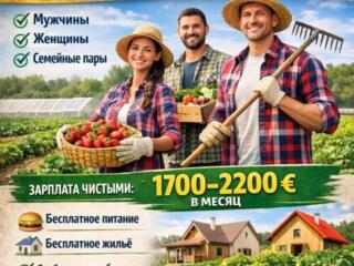  СРОЧНЫЙ НАБОР Открыт ‼️ Германия ‼️ зарплата 1700-2200 €