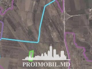 Spre vânzare se oferă teren agricol, situat în Băcioi. Suprafața ...