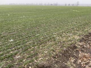 Продается участок 6 соток в Фонтанке (новая нарезка). Участок ...