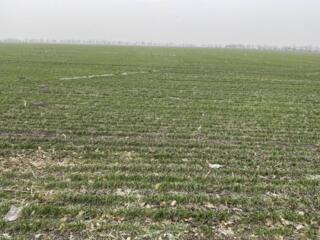 В продаже большой участок земли - 10,6 га, расположенный на ...