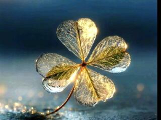 Гадание. Предпраздничные скидки