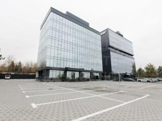 Chirie un complex de birouri ultra-modern, bulevardul Dacia, Botanica