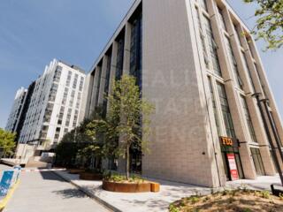 Chirie, spațiu de birou, 187,2 mp, strada Calea Ieșilor, Buiucani