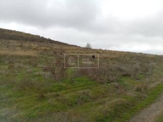 Spre vânzare teren agricol, comuna Tigheci, raionul Leova, suprafața .