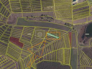 Se oferă spre vânzare teren agricol în satul Colonița, cu suprafața ..