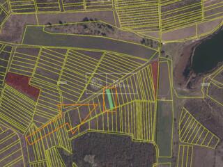 Se oferă spre vânzare teren agricol în satul Colonița, cu suprafața ..