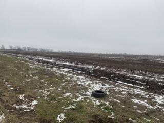 Продам участок 5,9 соток Овидиопольский р-н , СОГ «Прибрежный»,35 км .