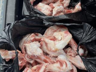 Oase de porc pentru cîini